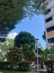 Blk 10 Farrer Park Gardens (Kallang/Whampoa), HDB 4 Rooms #558819021